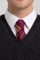 OFFICIAL WARNER BROS. HARRY POTTER GRYFFINDOR HOUSE TIE
